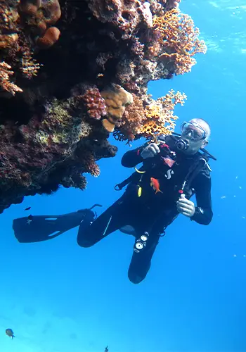 Egypt International Diving